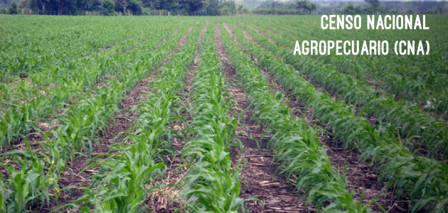 censo-nacional-agropeuario