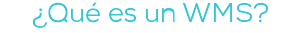 ¿Qué es un WMS?