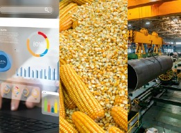 INEC PUBLICA LAS CIFRAS DEL ÍNDICE NACIONAL DE PRECIOS PRODUCTOR DE JUNIO 2025