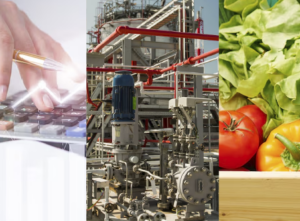 INEC publica las cifras del Índice Nacional de Precios Productor de septiembre 2025