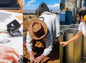 INEC publica las cifras del Índice Nacional de Precios Productor de diciembre 2025