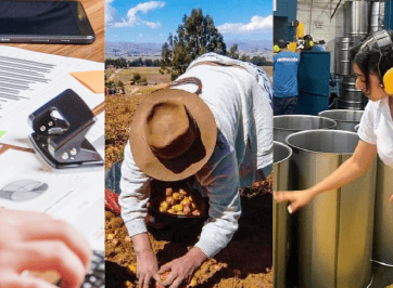 INEC publica las cifras del Índice Nacional de Precios Productor de diciembre 2025