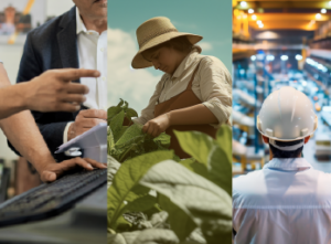 INEC publica las cifras del Índice Nacional de Precios Productor de febrero 2026