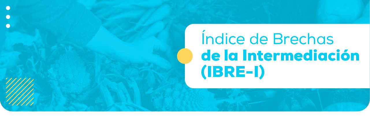 IBRE-I