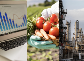 INEC publica las cifras del Índice Nacional de Precios Productor de julio 2025