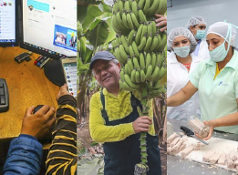 INEC publica las cifras del Índice Nacional de Precios Productor de julio 2026